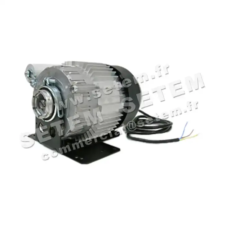 5726000785-MOTEUR RPM 11038012