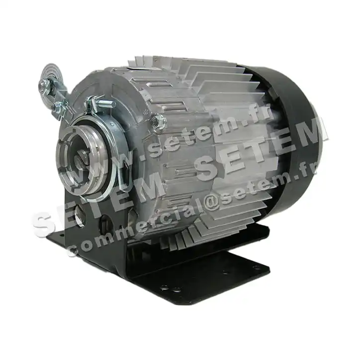 5726000785-MOTEUR RPM 11038012 2