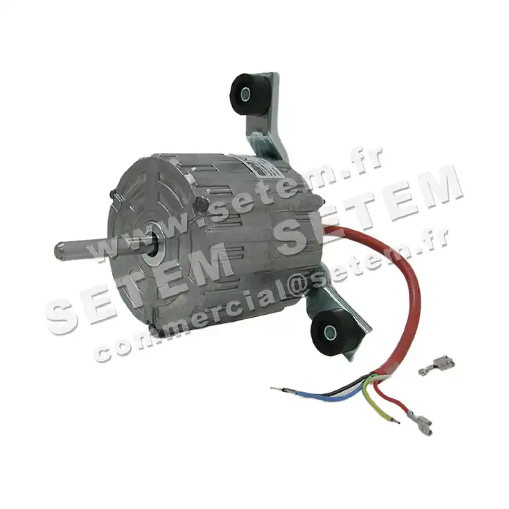 5726001017-MOTEUR RPM 11000702 2