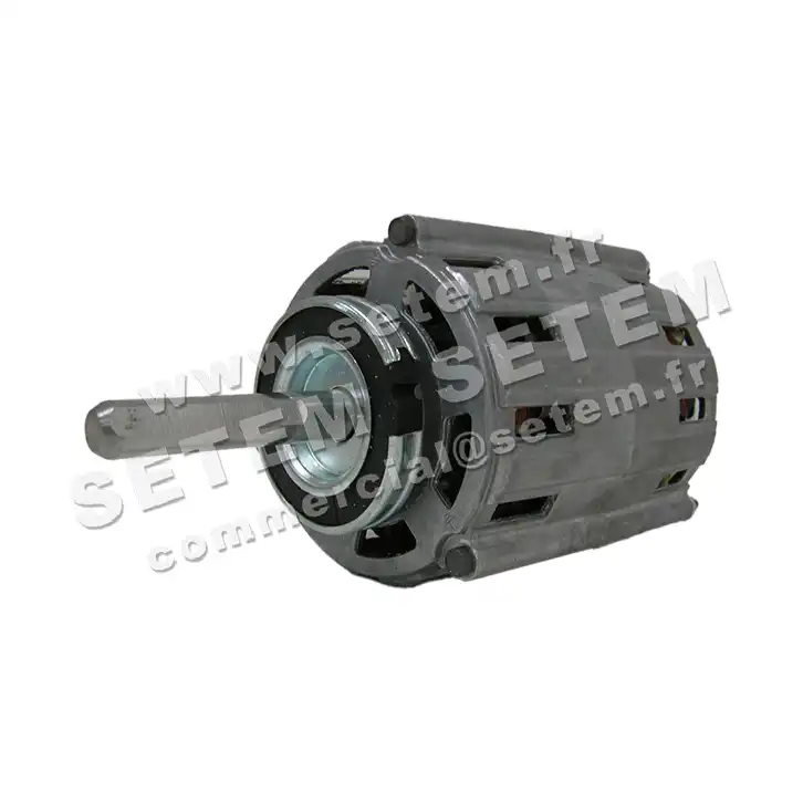5726001029-MOTEUR RPM C003100 2