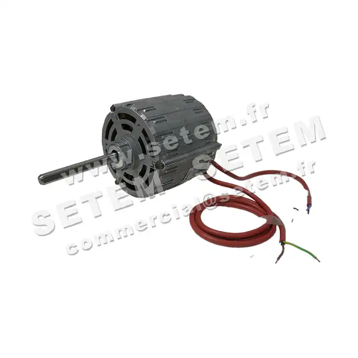 5726001033-MOTEUR RPM 11008138 2
