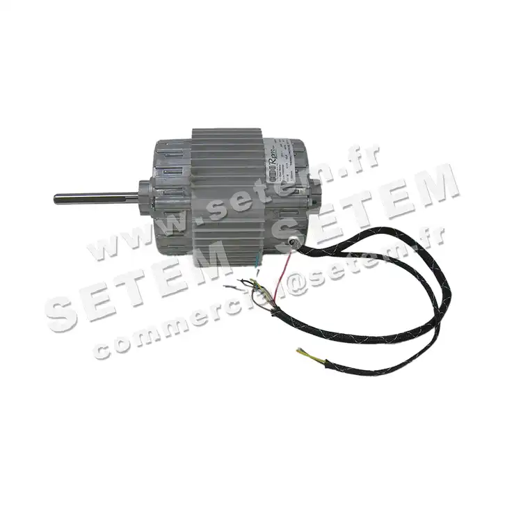 5726001069-MOTEUR RPM 11080100 3
