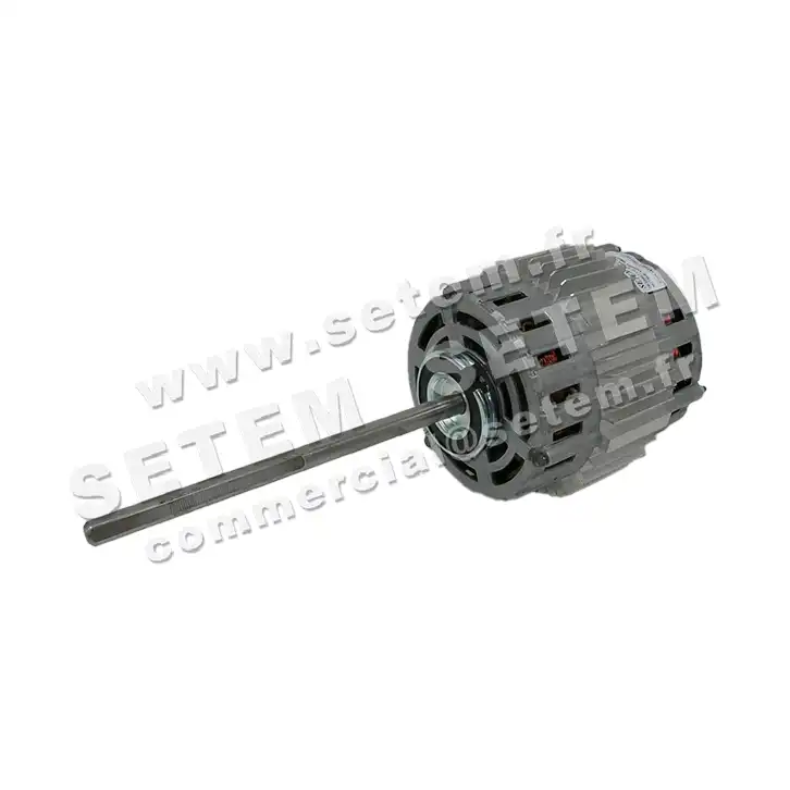 5726001077-MOTEUR RPM 11020001 "PB023046" 2