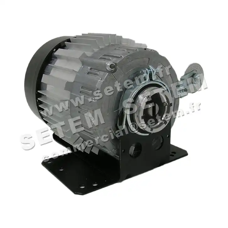 5726001085-MOTEUR RPM 11038008 2