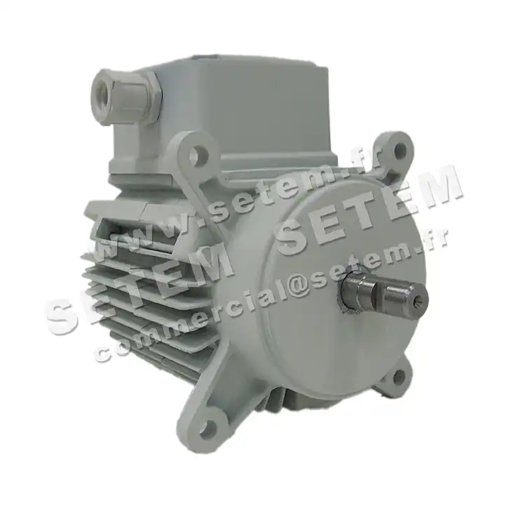 5726001105-MOTEUR RPM C026700 2