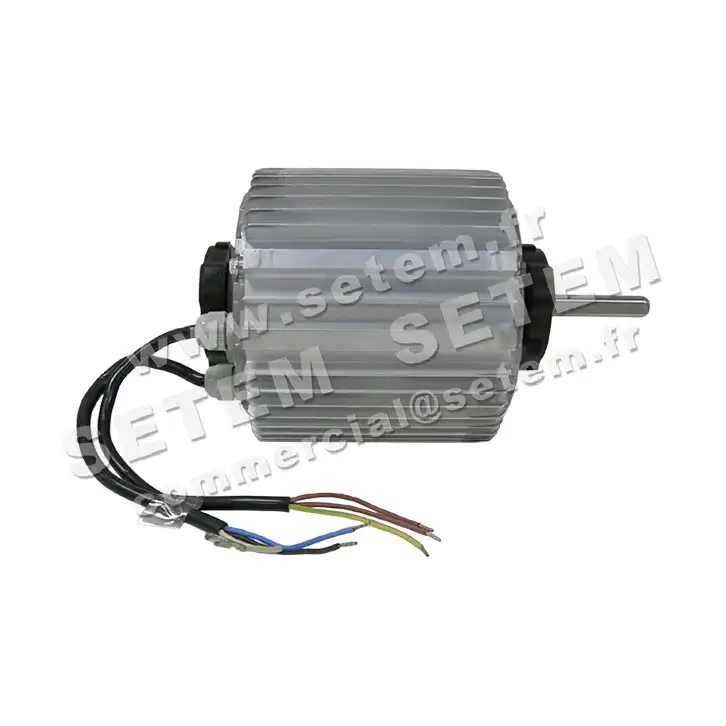 5726001256-MOTEUR RPM 11010531