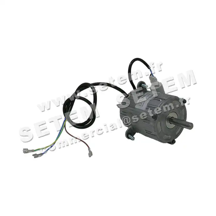 5726001604-MOTEUR RPM C001308 "G00907"