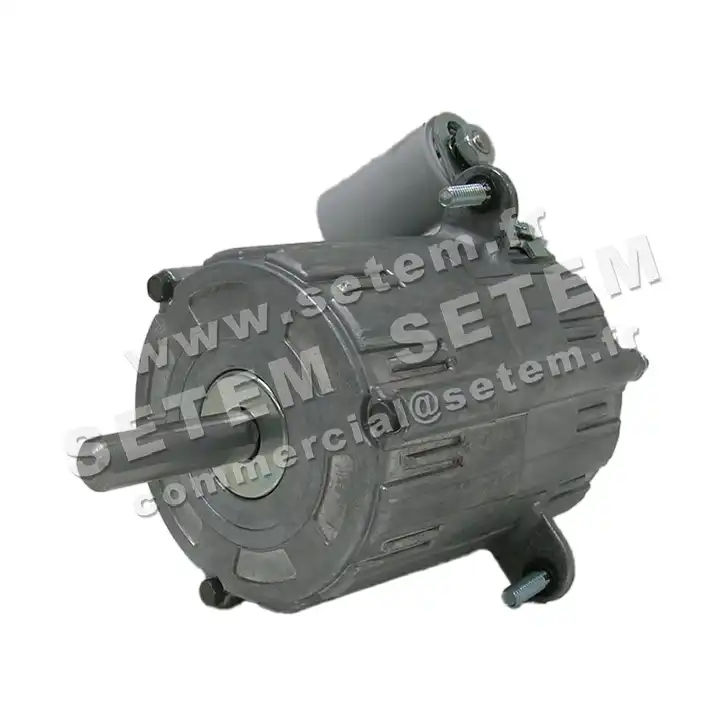 5726001604-MOTEUR RPM C001308 "G00907" 2