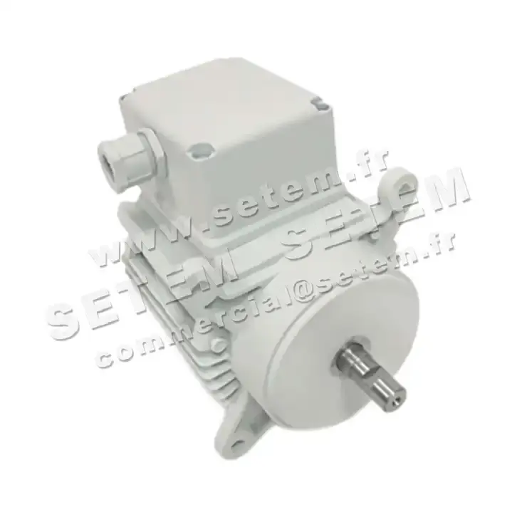 5726002049-MOTEUR RPM C027100 2
