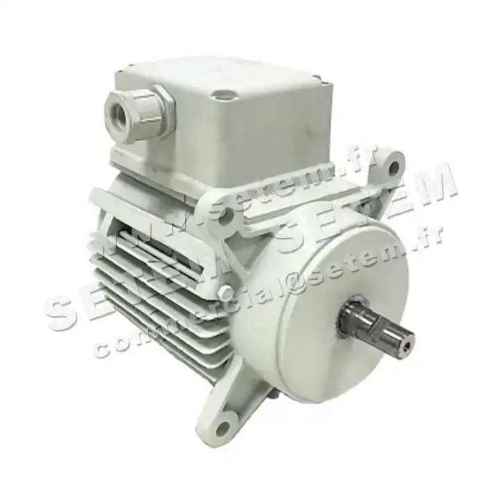 5726002064-MOTEUR RPM C028500