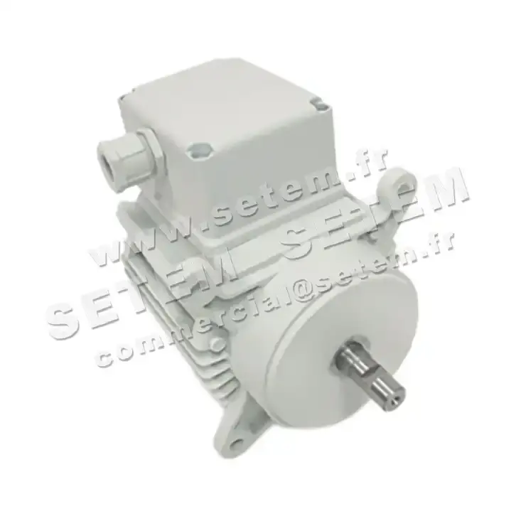 5726002064-MOTEUR RPM C028500 2