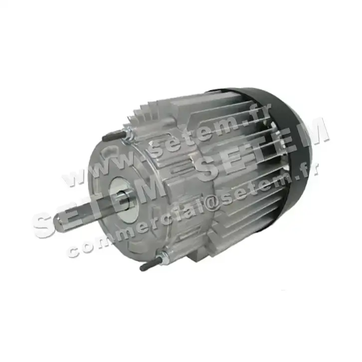 5726002102-MOTEUR RPM C025700 2