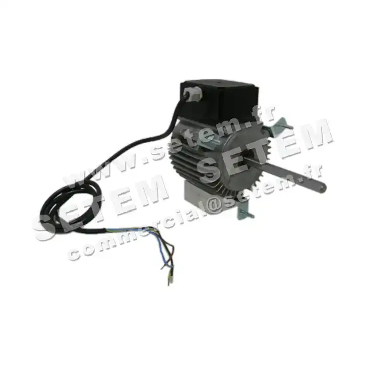 5726002161-MOTEUR RPM C036100