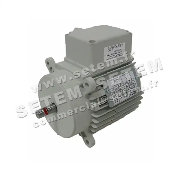 5726002211-MOTEUR RPM D002900 "3052003" 6