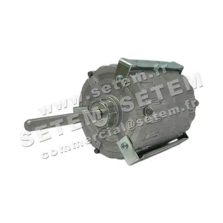 5726002421-MOTEUR RPM 11005028 2