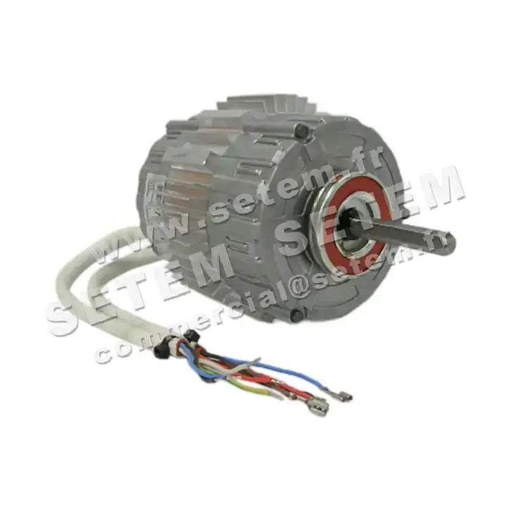 5726002465-MOTEUR RPM 11021429