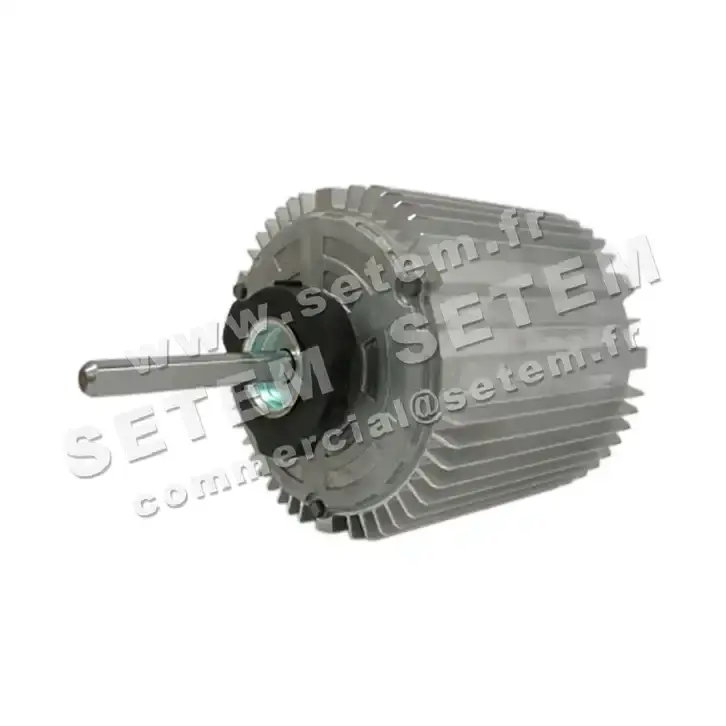 5726002499-MOTEUR RPM 11038201 2