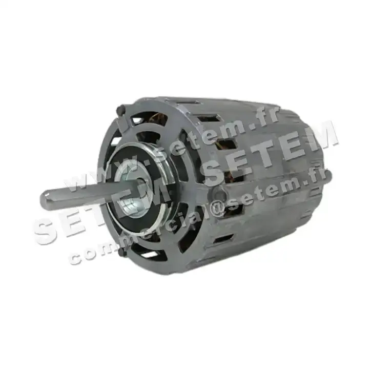 5726002539-MOTEUR RPM 11006235 2