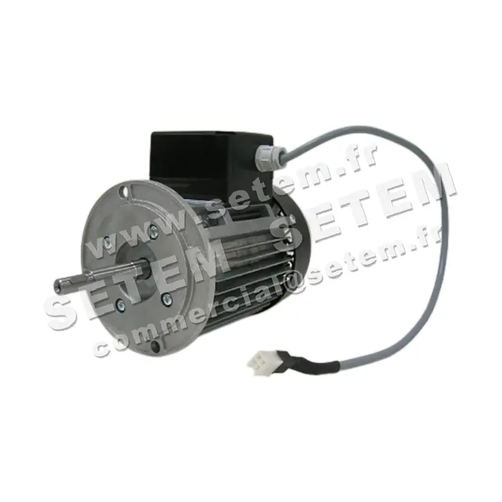 5726003077-MOTEUR RPM C038101