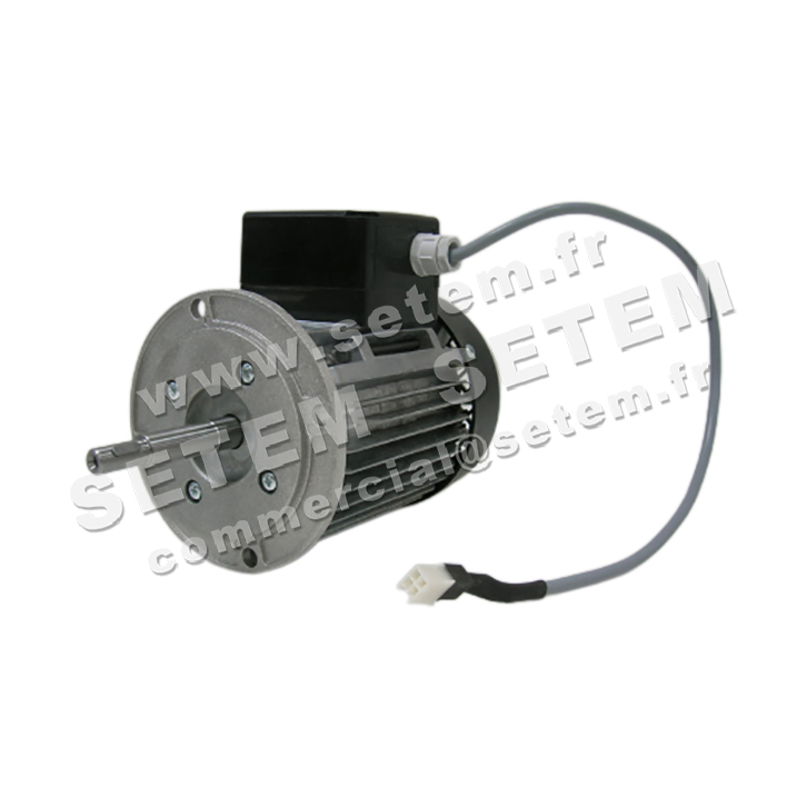 5726003077-MOTEUR RPM C038101 5