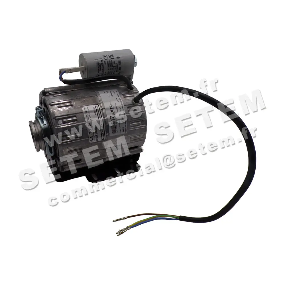 5726003864-MOTEUR RPM 110A3800