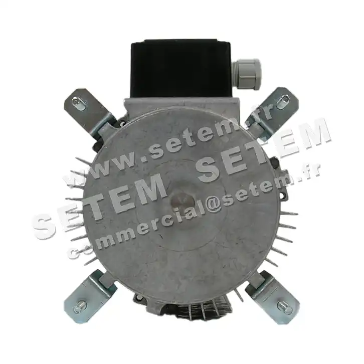 5726004138-MOTEUR RPM E007600