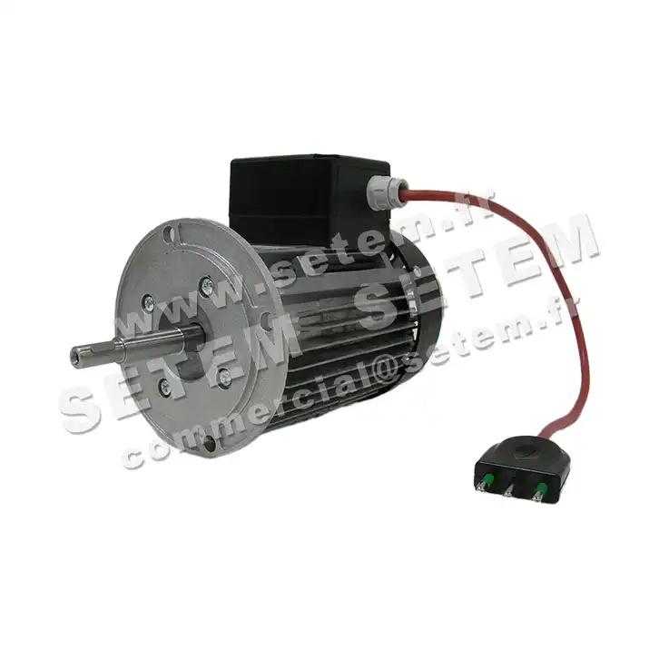 5726004194-MOTEUR RPM C044802