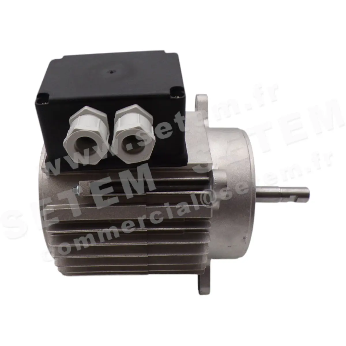 5726007146-MOTEUR RPM D009001 50Hz IE2