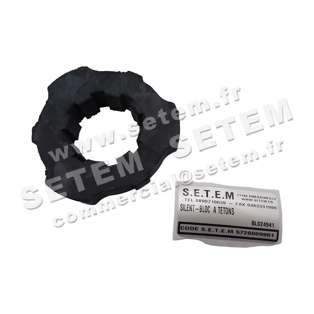 5726009961-SILENT-BLOC A TETONS RPM