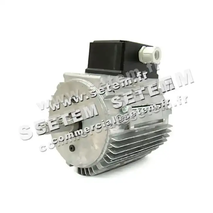 5740009125-MOTEUR ROSATI E000103