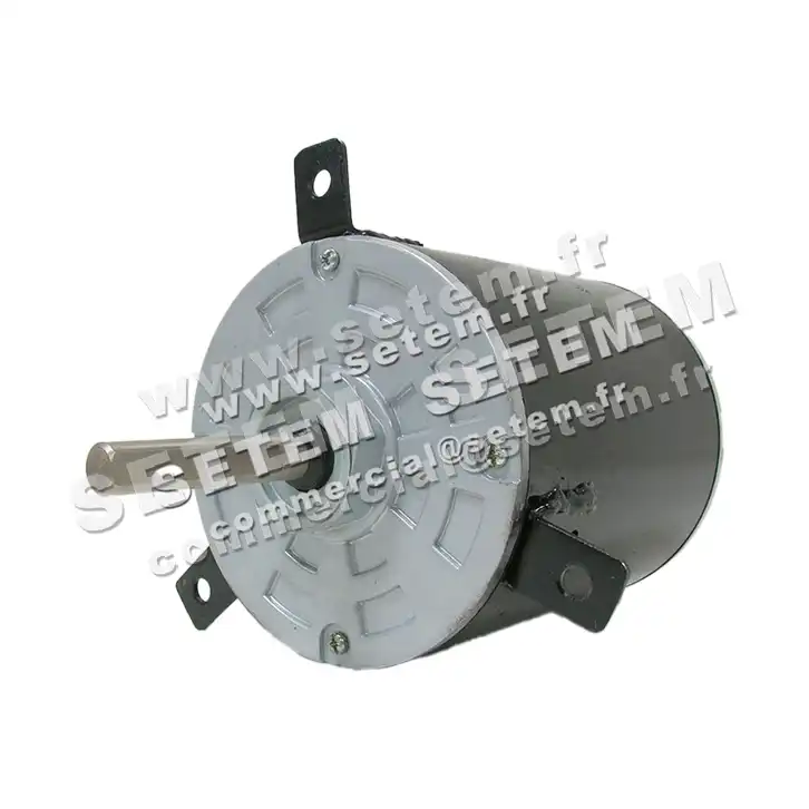 5743009142-MOTEUR REMCO DL2J6329K 2