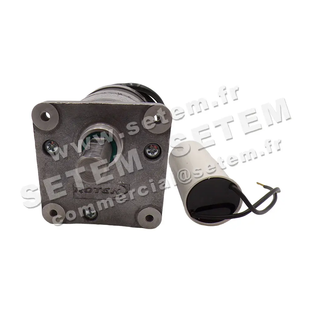 5781001112-MOTEUR ROTEK 36.0-W1000.F-X *A12638* 2