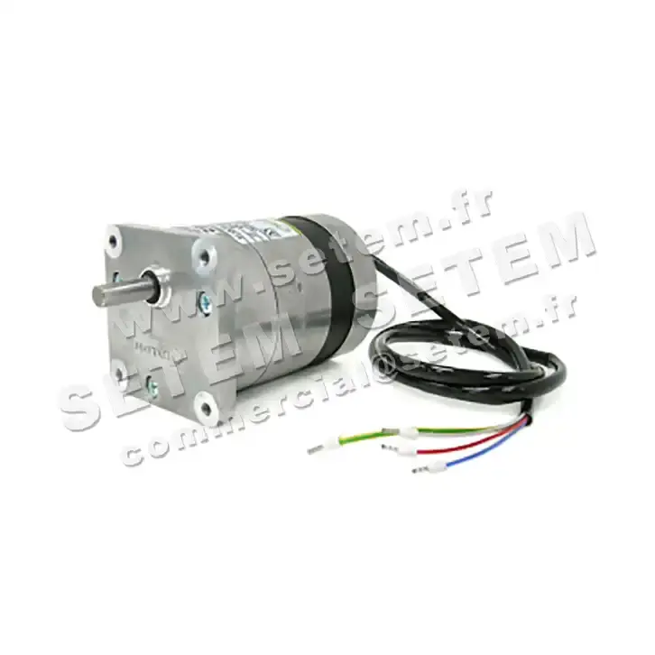 5781001252-MOTOREDUCTEUR SGM65/20.6A1 M230V ROTEK
