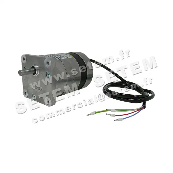 5781001252-MOTOREDUCTEUR SGM65/20.6A1 M230V ROTEK 2