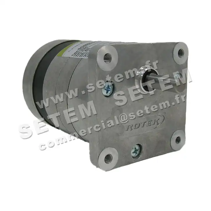 5781001252-MOTOREDUCTEUR SGM65/20.6A1 M230V ROTEK 3