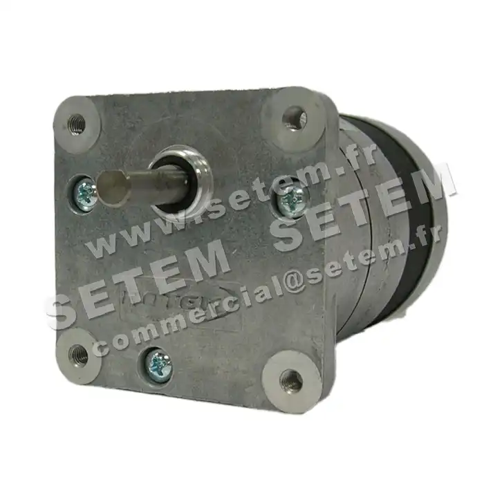 5781001374-MOTOREDUCTEUR SGM65/30.6.4A1 M230V ROTEK 2