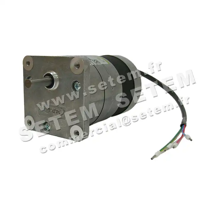 5781001381-MOTOREDUCTEUR SGM65/30.4A3 M230V ROTEK 2