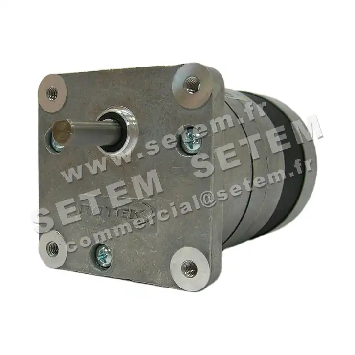 5781001381-MOTOREDUCTEUR SGM65/30.4A3 M230V ROTEK 3