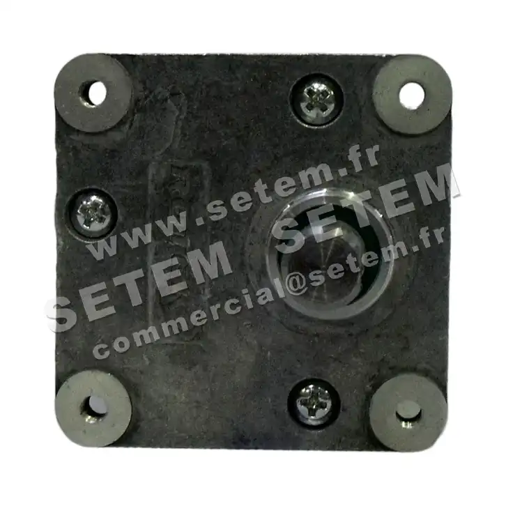 5781005247-MOTOREDUCTEUR 34.2W125.FK ROTEK A11870   2