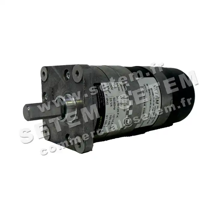 5781005247-MOTOREDUCTEUR 34.2W125.FK ROTEK A11870   6