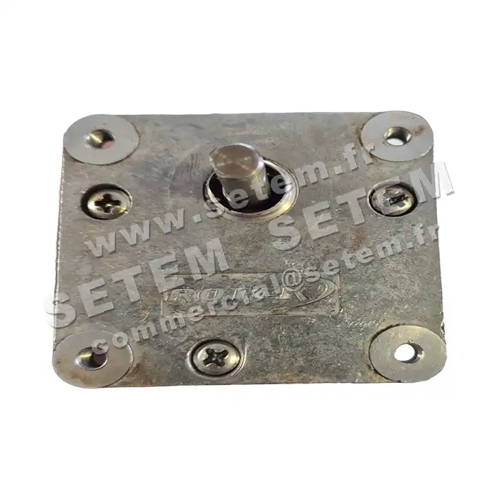 5781006458-MOTOREDUCTEUR SGM/30.4A10 M230V ROTEK 2