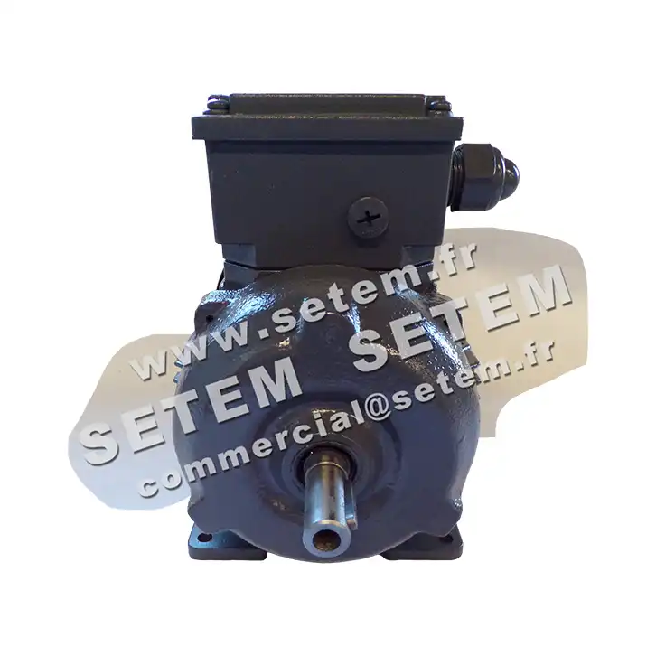 6006000040-MOTEUR ALMO 0.55KW 2P T230/400V HA71 B3 SPL71M2B40.H.PTC 3