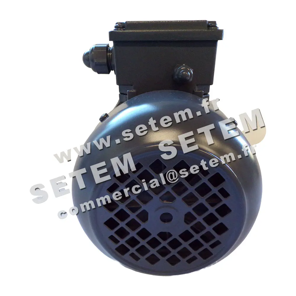 6006000040-MOTEUR ALMO 0.55KW 2P T230/400V HA71 B3 SPL71M2B40.H.PTC 5