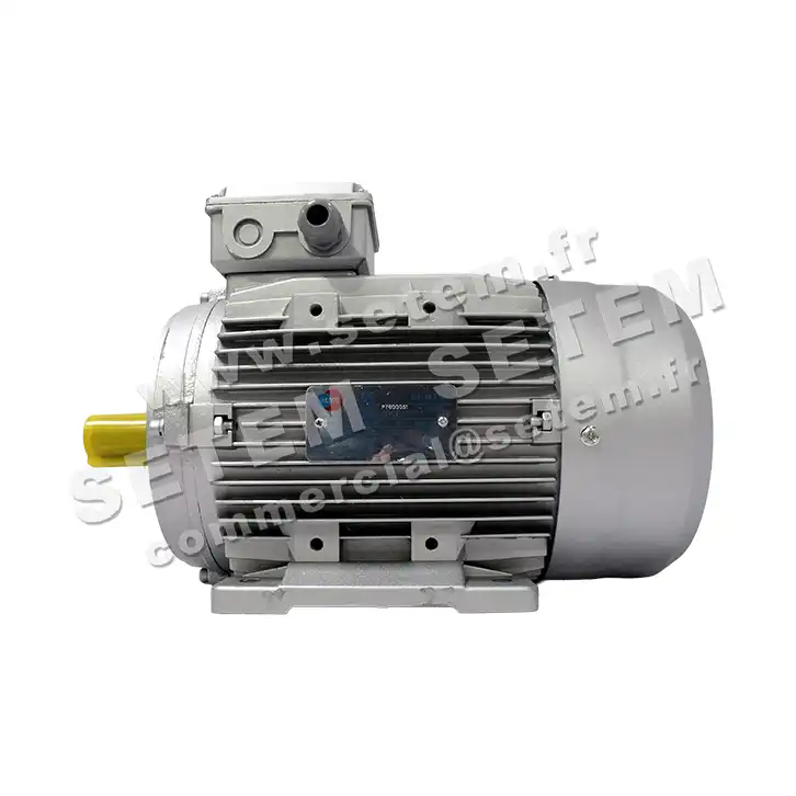 6006000090-MOTEUR ALMO 3KW 2P T230/400V HA100 B3 MH2.100L2 2