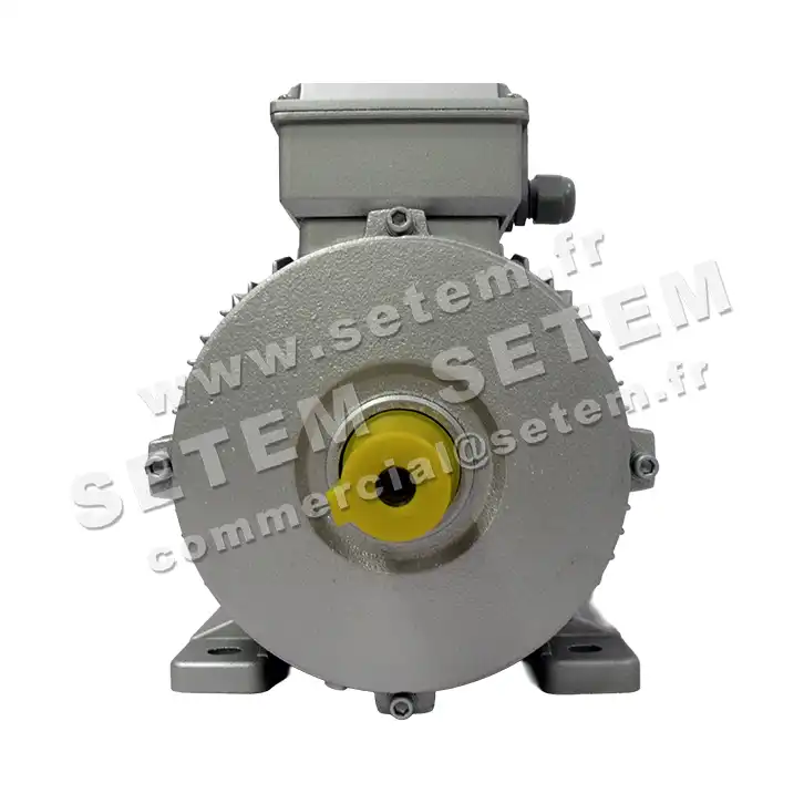 6006000090-MOTEUR ALMO 3KW 2P T230/400V HA100 B3 MH2.100L2 3