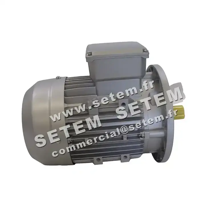 6006001081-MOTEUR ALMO 1.10KW 4P T230/400V HA90 B5 MH3.90S4 2