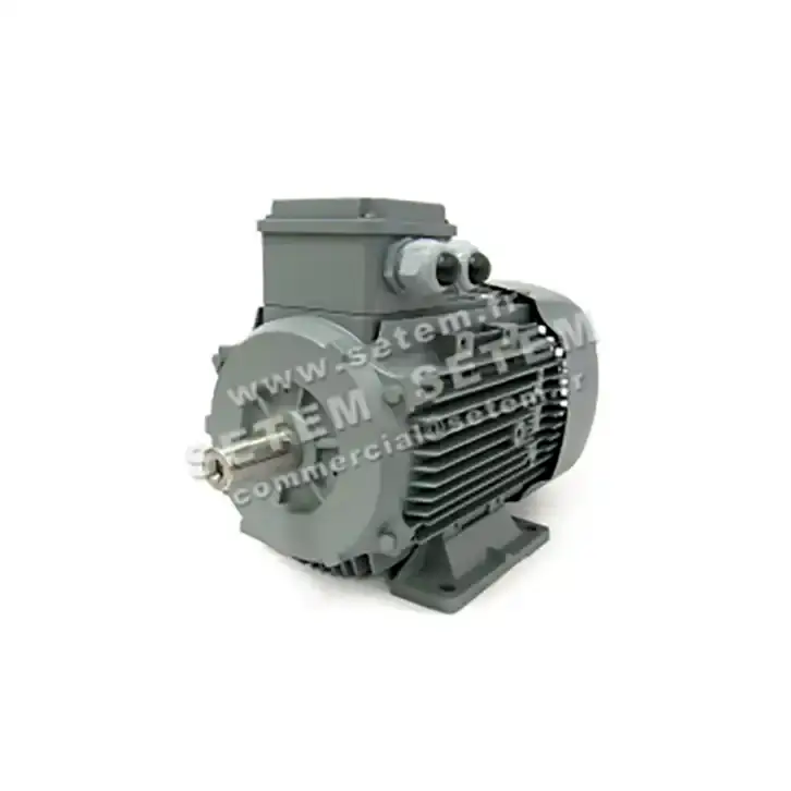 6006001690-MOTEUR ALMO Q2E 112M4C B3 S1 CL.F IP55 IM B3