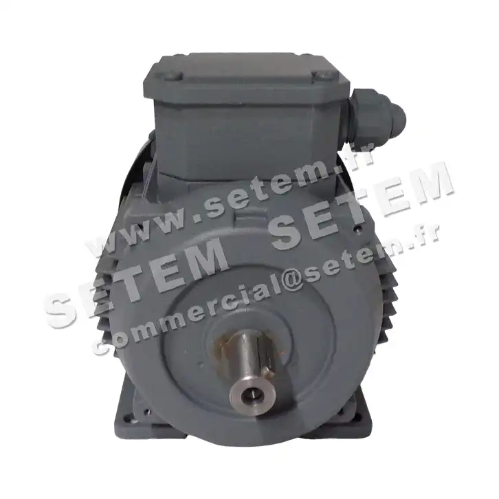 6006002050-MOTEUR ALMO 0.55KW 6P T230/400V HA80 B3 QS80M6B40.AP 2