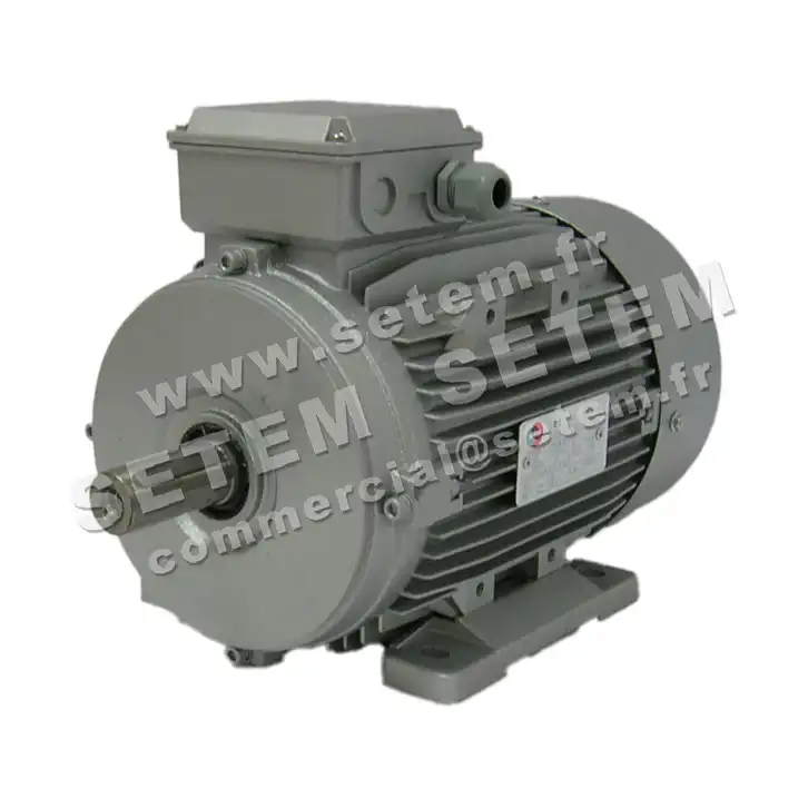 6006002102-MOTEUR ALMO 3KW 4P T230/400V HA100 B3 IE2 *MH2.100LX4* 2