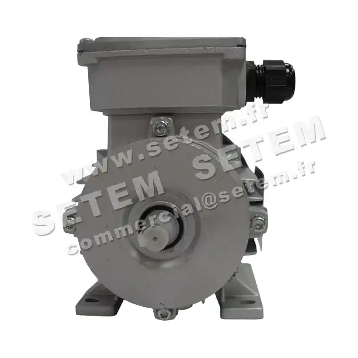 6006004020-MOTEUR ALMO 0.18KW 4P T230/400V HA63 B3 MTA63G4 2